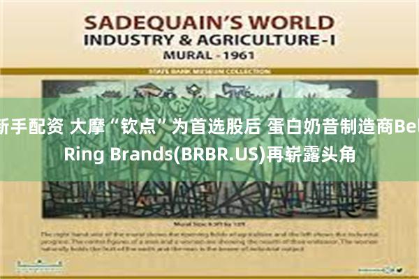 新手配资 大摩“钦点”为首选股后 蛋白奶昔制造商BellRing Brands(BRBR.US)再崭露头角