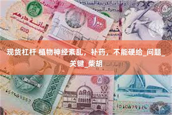 现货杠杆 植物神经紊乱，补药，不能硬给_问题_关键_柴胡