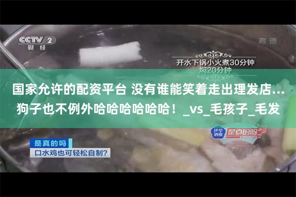国家允许的配资平台 没有谁能笑着走出理发店...狗子也不例外哈哈哈哈哈哈！_vs_毛孩子_毛发
