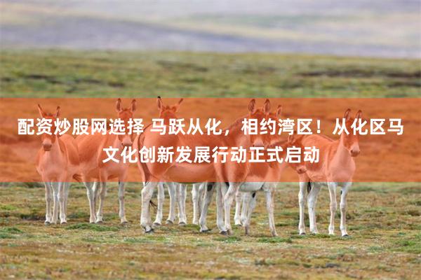 配资炒股网选择 马跃从化，相约湾区！从化区马文化创新发展行动正式启动