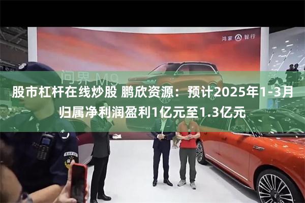 股市杠杆在线炒股 鹏欣资源：预计2025年1-3月归属净利润盈利1亿元至1.3亿元