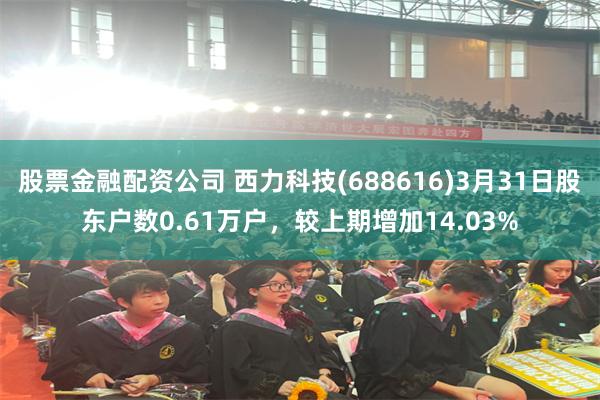 股票金融配资公司 西力科技(688616)3月31日股东户数0.61万户，较上期增加14.03%