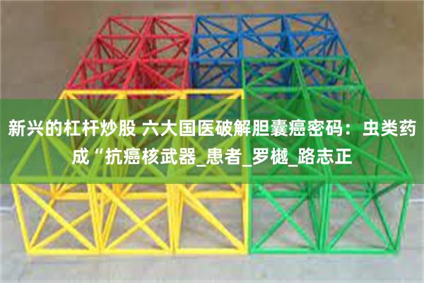 新兴的杠杆炒股 六大国医破解胆囊癌密码：虫类药成“抗癌核武器_患者_罗樾_路志正