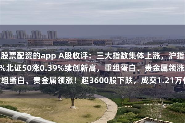 股票配资的app A股收评：三大指数集体上涨，沪指涨0.21%创指涨0.83%北证50涨0.39%续创新高，重组蛋白、贵金属领涨！超3600股下跌，成交1.21万亿放量31亿