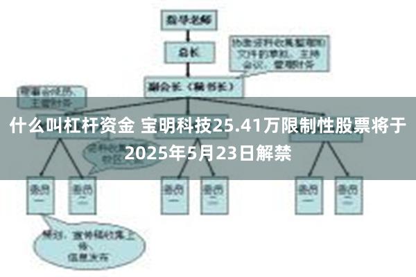 什么叫杠杆资金 宝明科技25.41万限制性股票将于2025年5月23日解禁