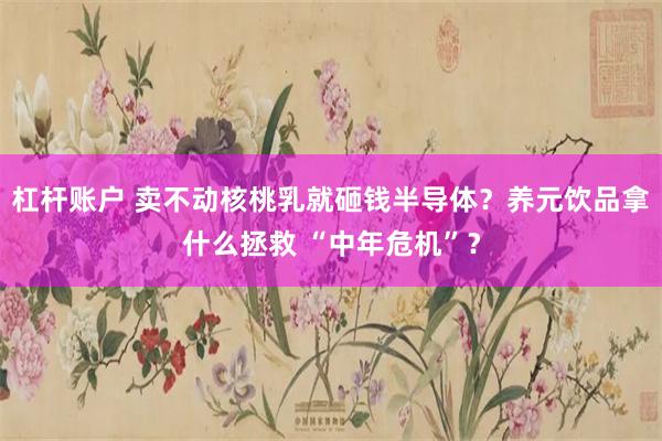 杠杆账户 卖不动核桃乳就砸钱半导体？养元饮品拿什么拯救 “中年危机”？