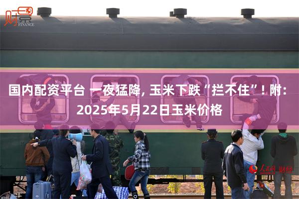 国内配资平台 一夜猛降, 玉米下跌“拦不住”! 附: 2025年5月22日玉米价格