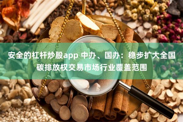 安全的杠杆炒股app 中办、国办：稳步扩大全国碳排放权交易市场行业覆盖范围