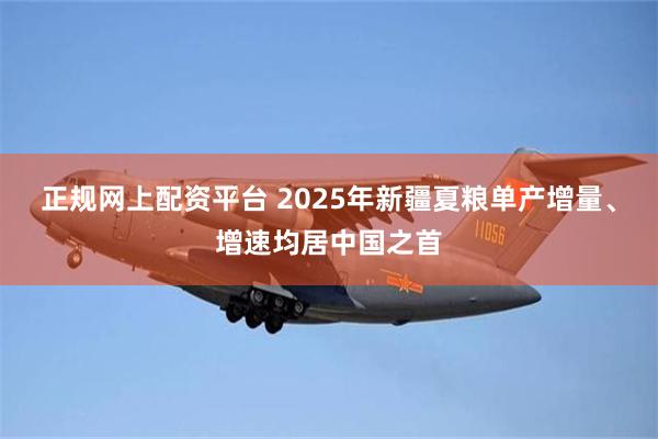 正规网上配资平台 2025年新疆夏粮单产增量、增速均居中国之首