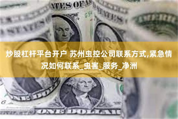 炒股杠杆平台开户 苏州虫控公司联系方式,紧急情况如何联系_虫害_服务_净洲