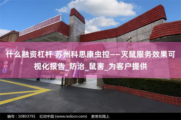 什么融资杠杆 苏州科思康虫控——灭鼠服务效果可视化报告_防治_鼠害_为客户提供