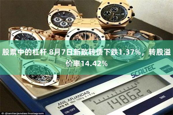 股票中的杠杆 8月7日新致转债下跌1.37%，转股溢价率14.42%