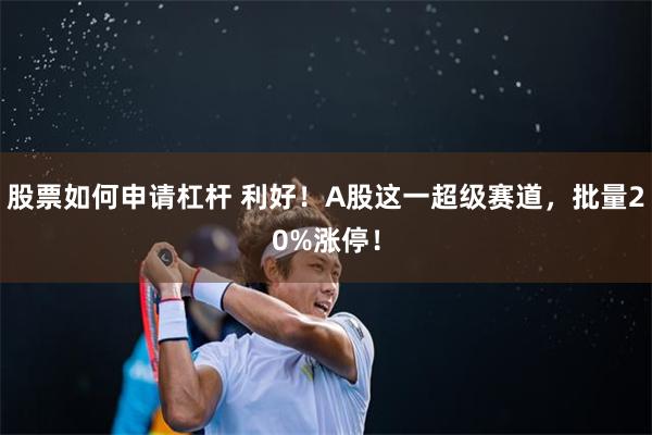 股票如何申请杠杆 利好！A股这一超级赛道，批量20%涨停！