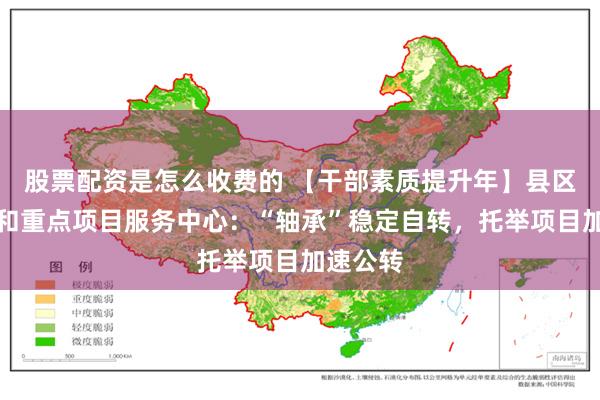 股票配资是怎么收费的 【干部素质提升年】县区域发展和重点项目服务中心：“轴承”稳定自转，托举项目加速公转