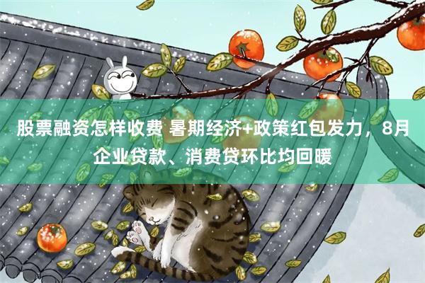 股票融资怎样收费 暑期经济+政策红包发力，8月企业贷款、消费贷环比均回暖